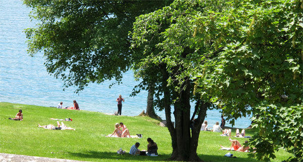 Hotel Restaurant - Acacias Bellevue Veyrier-du-Lac Buitenkant foto